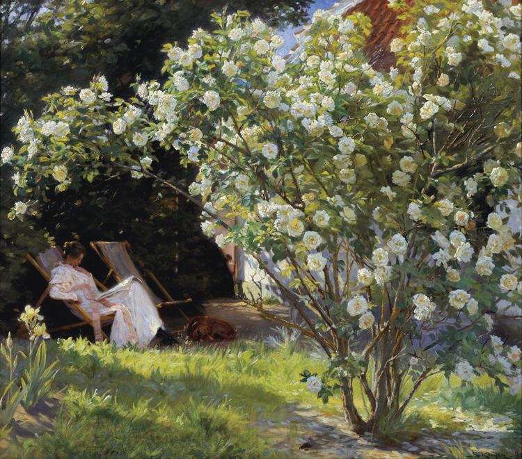 Peder Severin Kroyer Roses Garden in Skagen (nn02) Norge oil painting art
